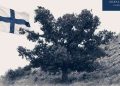Στο Δίκτυο Αιωνόβιων Δέντρων η Βελανιδιά στον Πολυάραβο Μάνης – monemvasianews.gr